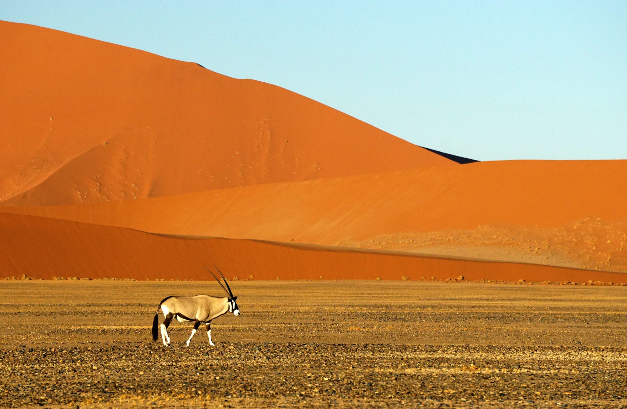 Viagem para Namíbia: guia completo para explorar desertos e safáris