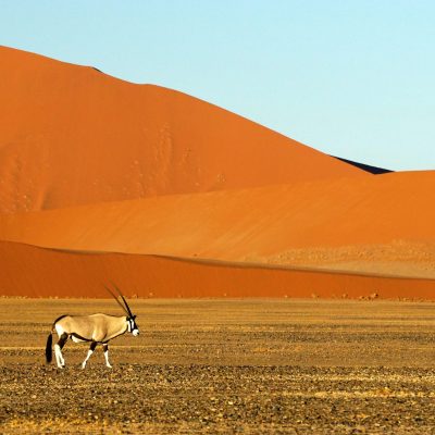 Viagem para Namíbia: guia completo para explorar desertos e safáris